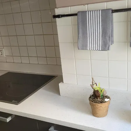 Paz Termal אורנסה